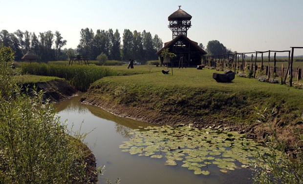Засавица проглашена специјалним резерватом природе
